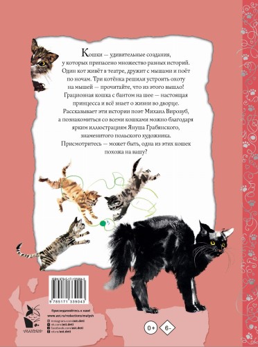 Удивительные кошачьи истории