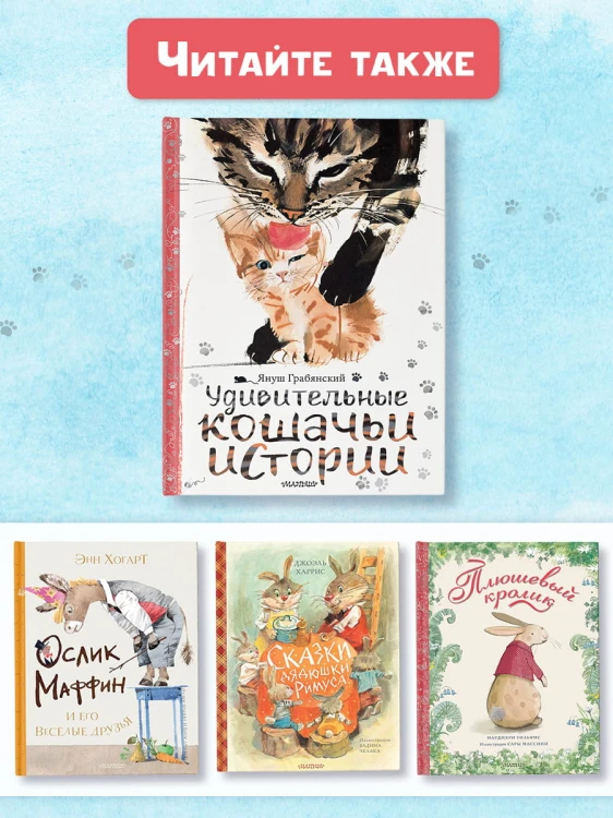 Удивительные кошачьи истории