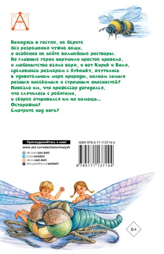 Необыкновенные приключения Карика и Вали