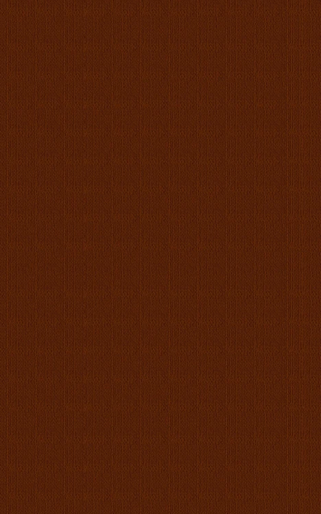 Семейная библия (ил. Ю. Шнорра) (с грифом РПЦ)