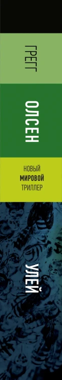 Улей