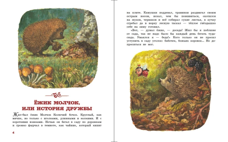 Ежик Молчок, или История дружбы