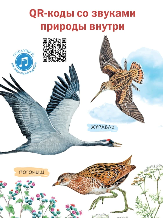 Рассказы о природе