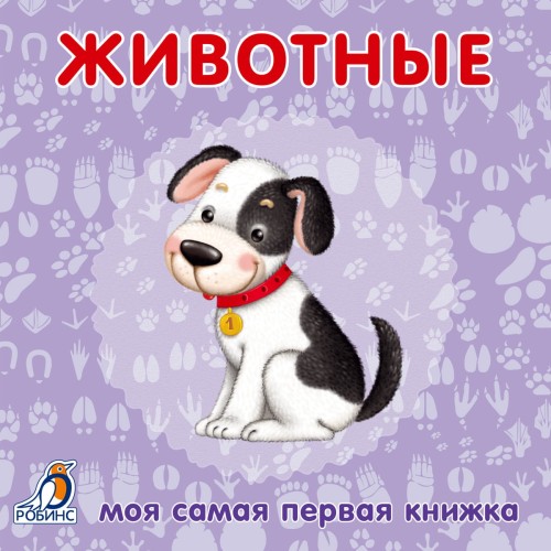 31fd0e999dcb5fc1e8cc294364809a26.jpg