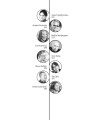 Энигма. Беседы с героями современного музыкального мира