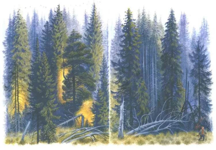 Screenshot_2020-11-14 В тайге, у Енисея(1).png