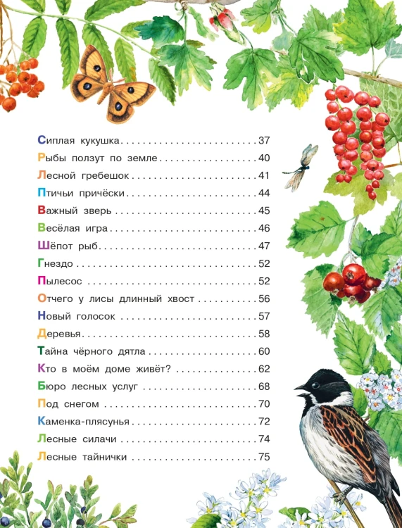 Лесные сказки