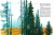 Screenshot_2020-11-14 В тайге, у Енисея(5).png