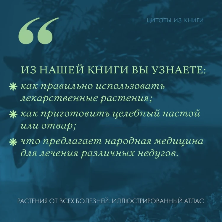 РАСТЕНИЯ ОТ ВСЕХ БОЛЕЗНЕЙ. Иллюстрированный атлас