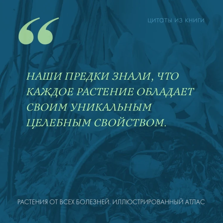 РАСТЕНИЯ ОТ ВСЕХ БОЛЕЗНЕЙ. Иллюстрированный атлас