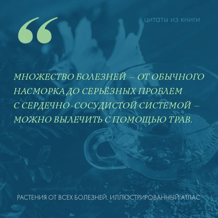 РАСТЕНИЯ ОТ ВСЕХ БОЛЕЗНЕЙ. Иллюстрированный атлас