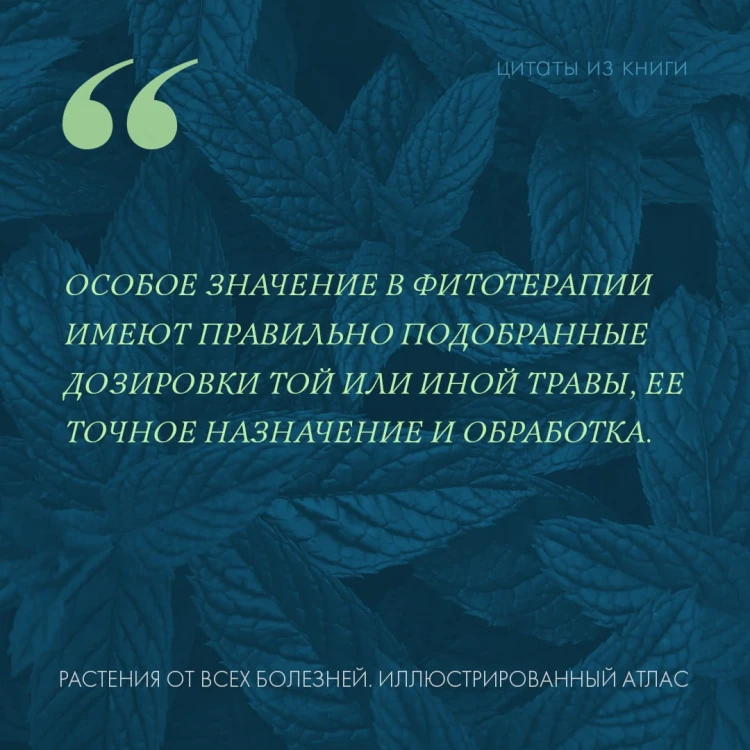 РАСТЕНИЯ ОТ ВСЕХ БОЛЕЗНЕЙ. Иллюстрированный атлас