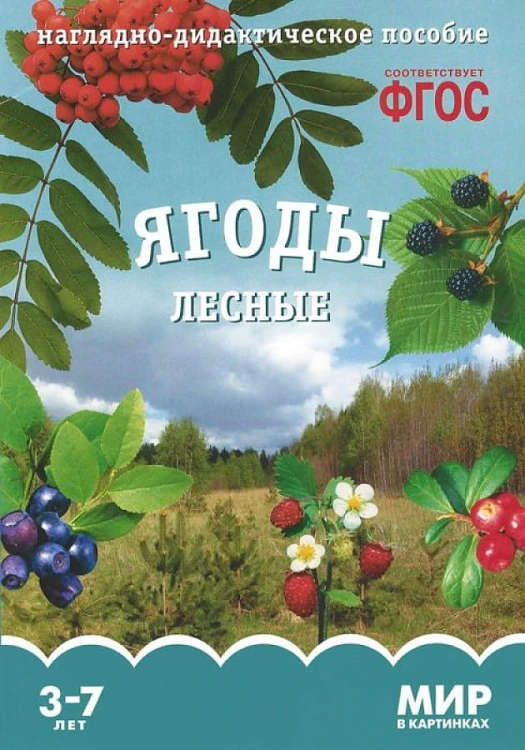 ФГОС Мир в картинках. Ягоды лесные.