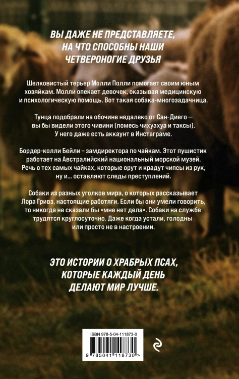 Самый верный друг (комплект из 2 книг)