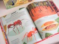 Ядовитые животные. Кто, зачем и как использует яды в дикой природе