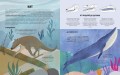 Эволюция. Как изменилась жизнь за миллиарды лет