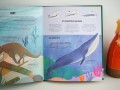 Эволюция. Как изменилась жизнь за миллиарды лет
