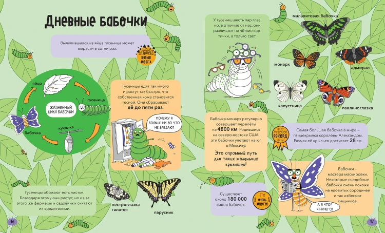 Насекомые и не только. От шмелей до навозных жуков: все ползуче-летучие факты, рекорды и достижения