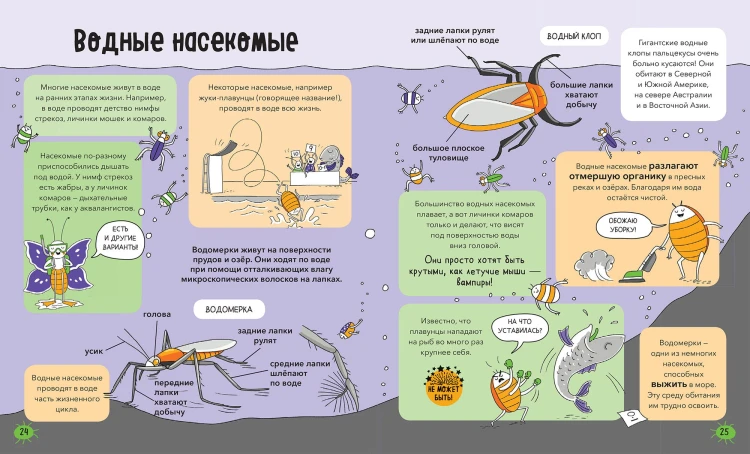 Насекомые и не только. От шмелей до навозных жуков: все ползуче-летучие факты, рекорды и достижения