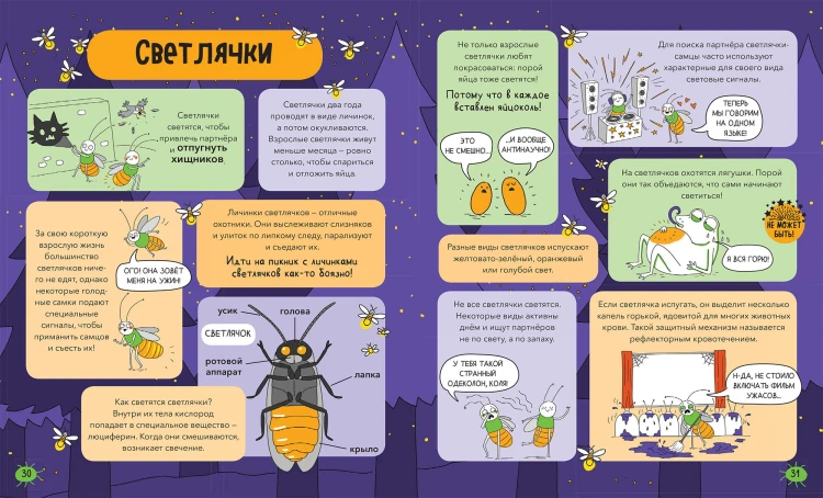 Насекомые и не только. От шмелей до навозных жуков: все ползуче-летучие факты, рекорды и достижения