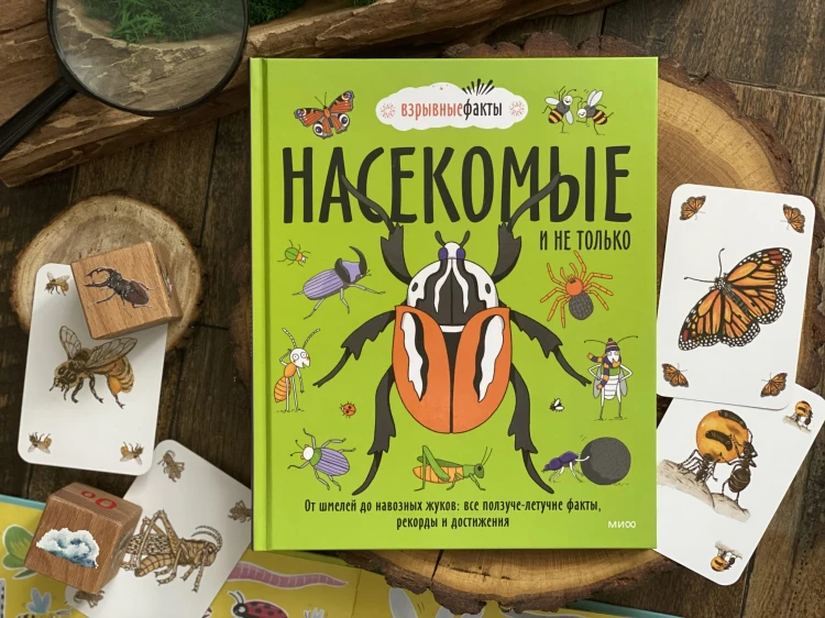 Насекомые и не только. От шмелей до навозных жуков: все ползуче-летучие факты, рекорды и достижения