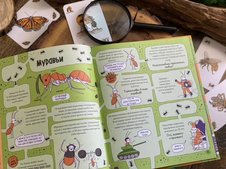 Насекомые и не только. От шмелей до навозных жуков: все ползуче-летучие факты, рекорды и достижения