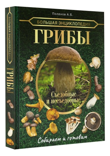 Большая энциклопедия. Грибы. Съедобные и несъедобные. Собираем и готовим.