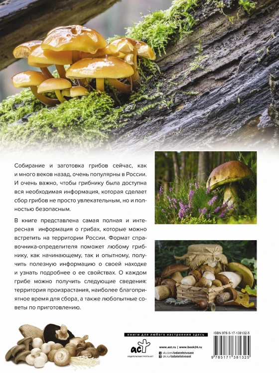 Большая энциклопедия. Грибы. Съедобные и несъедобные. Собираем и готовим.