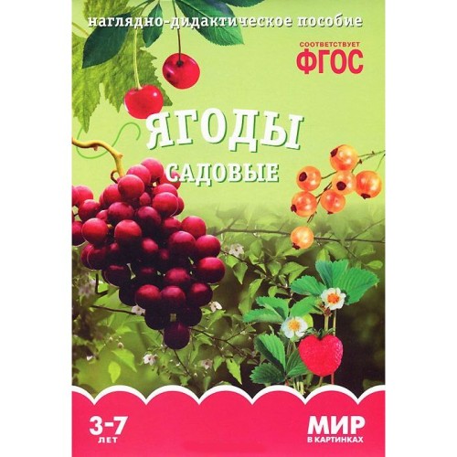 ФГОС Мир в картинках. Ягоды садовые.