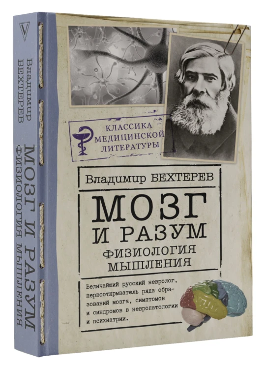 Мозг и разум: физиология мышления