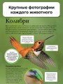 Мир животных