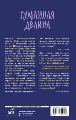 Туманная долина