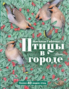 Птицы в городе