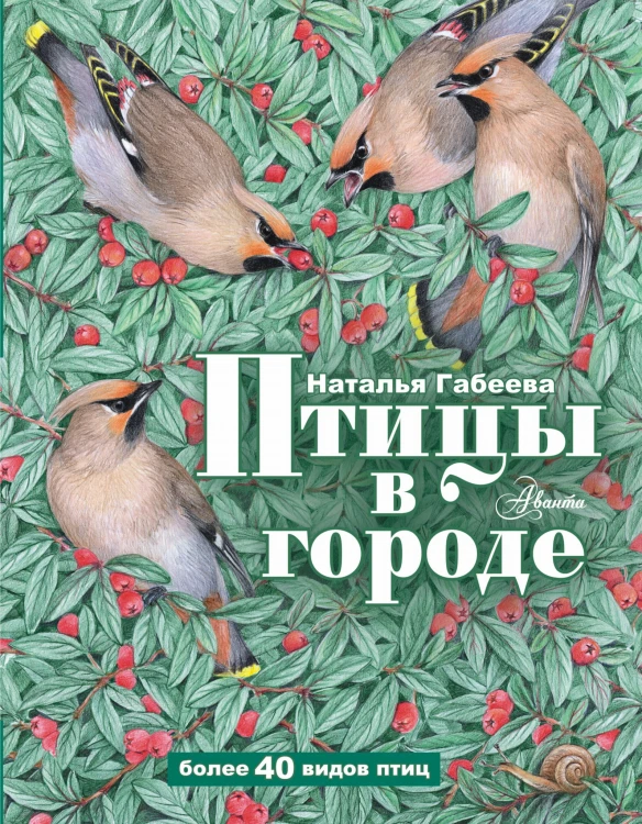 Птицы в городе