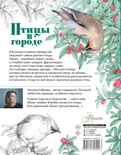 Птицы в городе