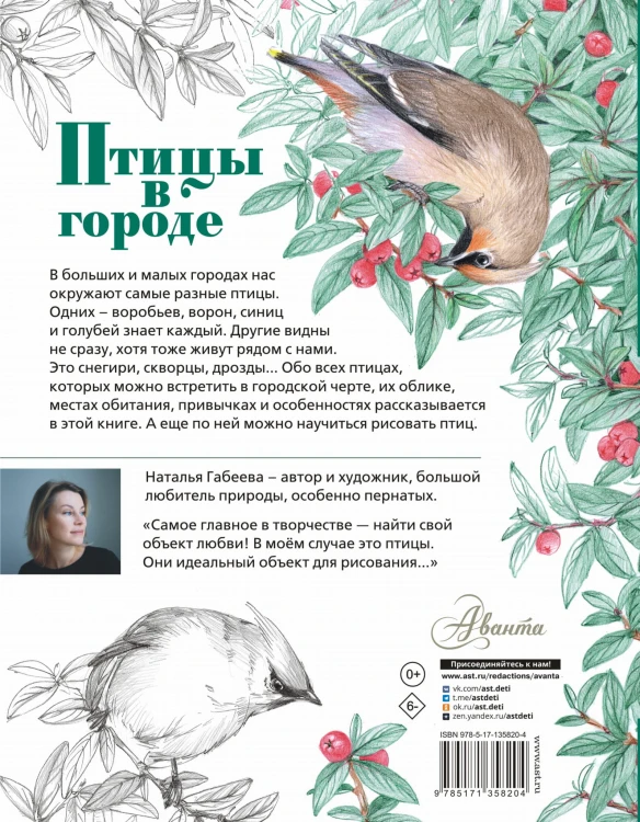 Птицы в городе