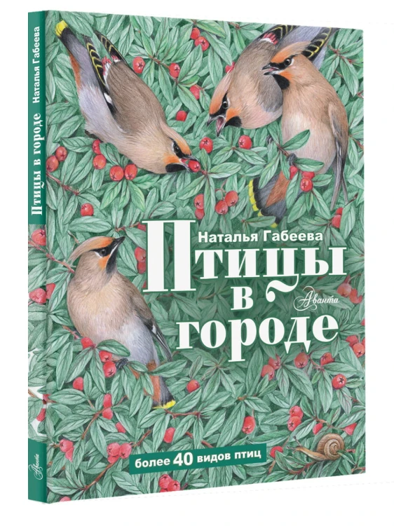 Птицы в городе