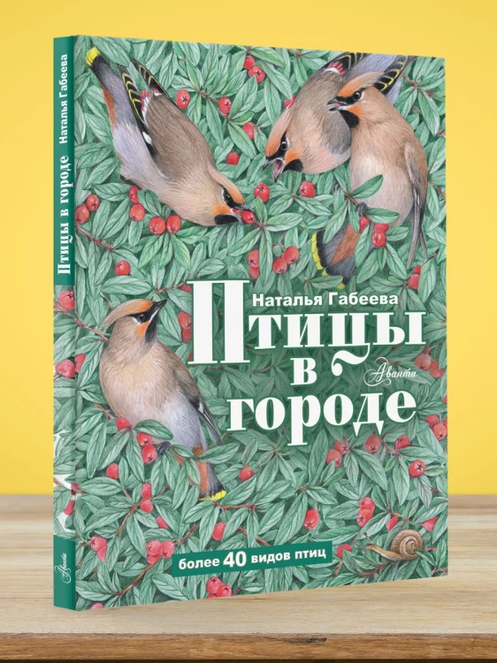 Птицы в городе