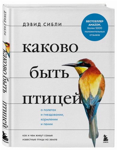 Каково быть птицей: о полетах и гнездовании, кормлении и пении. Как и чем живут самые известные птицы на земле