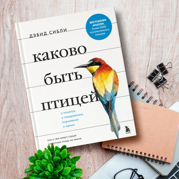 Каково быть птицей: о полетах и гнездовании, кормлении и пении. Как и чем живут самые известные птицы на земле