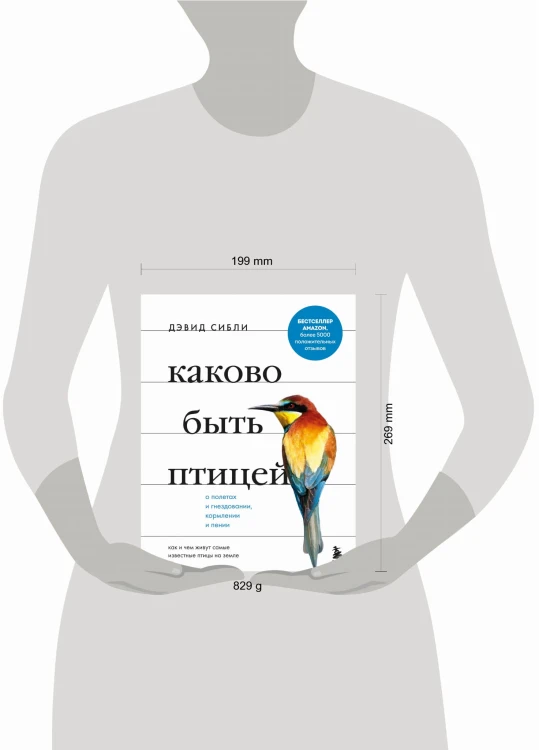 Каково быть птицей: о полетах и гнездовании, кормлении и пении. Как и чем живут самые известные птицы на земле