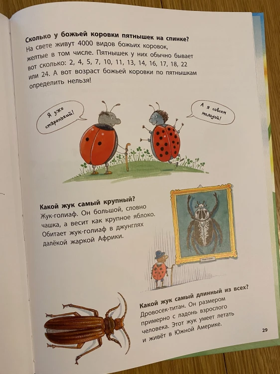 Albom - 12.jpeg
