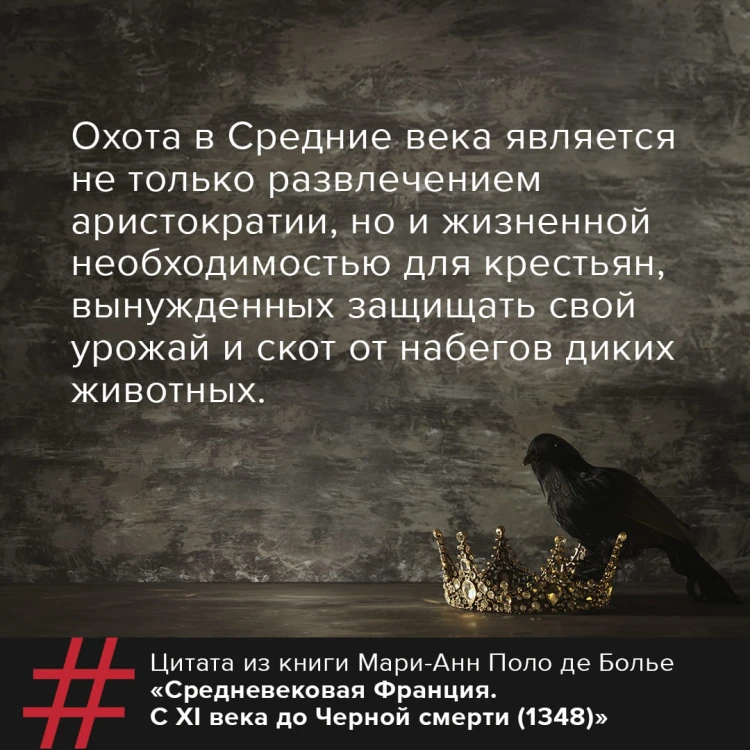 Средневековая Франция. С XI века до Черной смерти (1348)