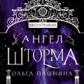 Ангел шторма