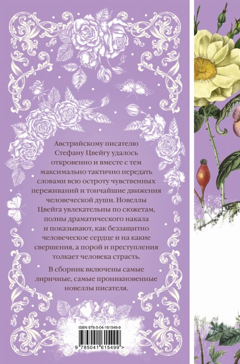 Письмо незнакомки