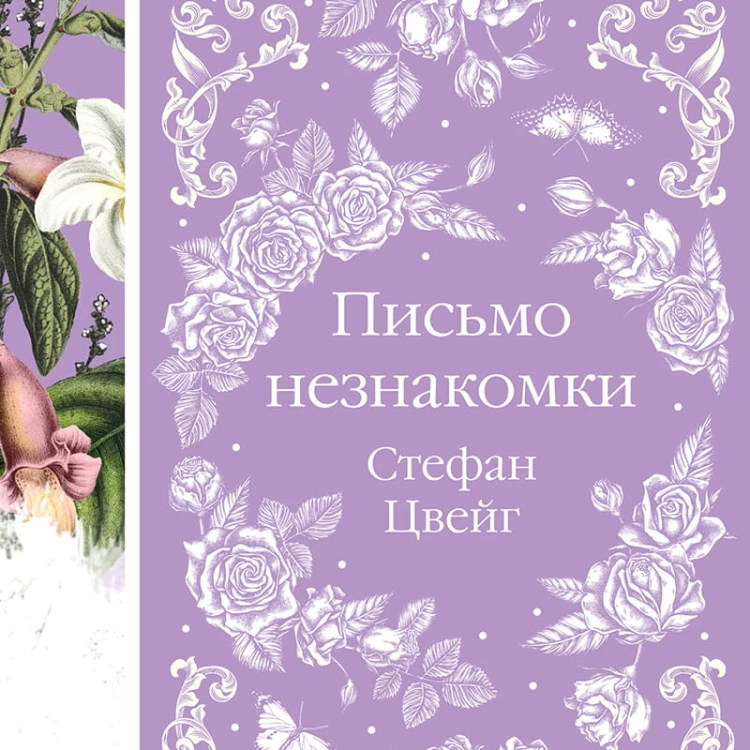 Письмо незнакомки