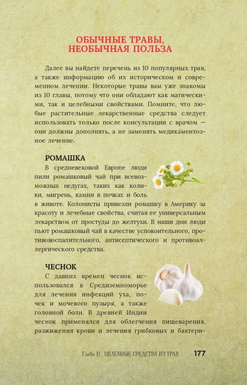 Магия для начинающих ведьм: мистические ритуалы и заклинания