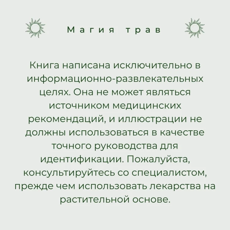 Магия для начинающих ведьм: мистические ритуалы и заклинания