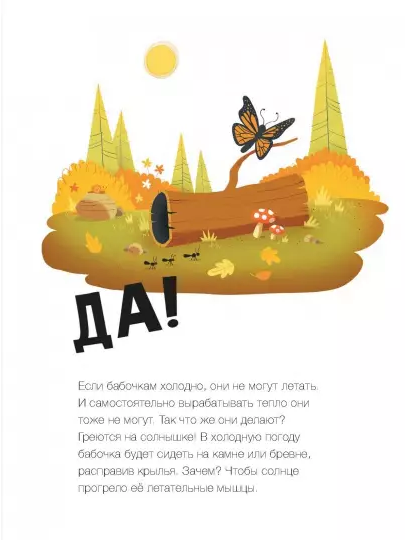 Screenshot_2020-11-29 Пьют ли лягушки горячее какао (3).png
