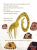 Screenshot_2020-11-30 Проблемы жирафов(4).png